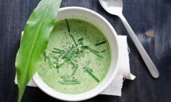 Lorem ipsum dolor sit